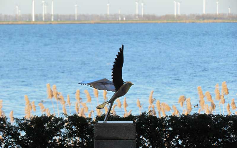 Kievit van roestvast staal - kunstwerk aan het water